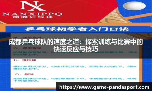 成都乒乓球队的速度之道：探索训练与比赛中的快速反应与技巧